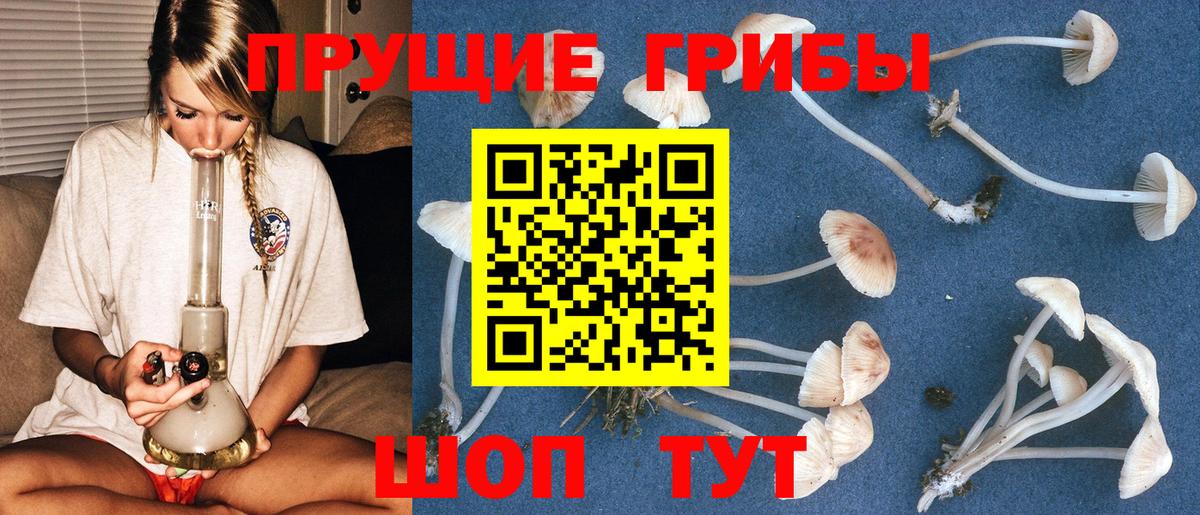 Псилоцибиновые грибы GOLDEN TEACHER Шали